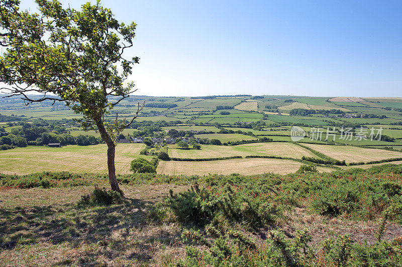 从Purbeck Ridgeway看南，Purbeck岛，多塞特，英格兰